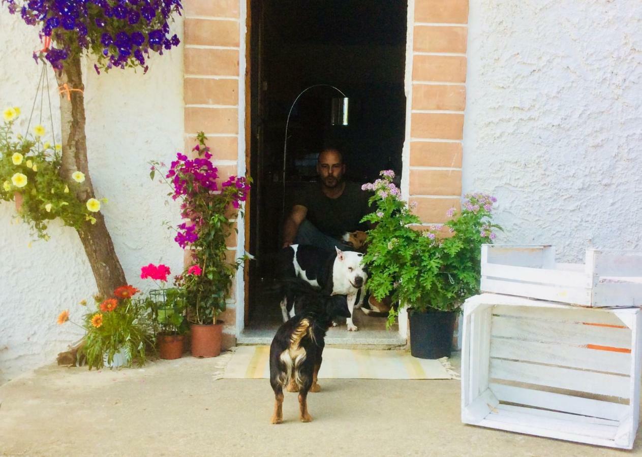 Le Terre D'Abruzzo Guest House Alanno ภายนอก รูปภาพ