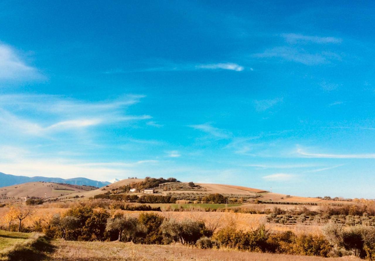 Le Terre D'Abruzzo Guest House Alanno ภายนอก รูปภาพ