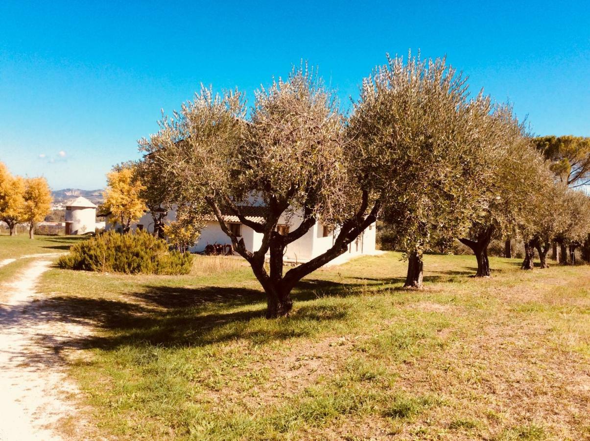 Le Terre D'Abruzzo Guest House Alanno ภายนอก รูปภาพ